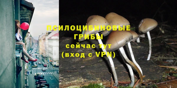 МДМА Абаза