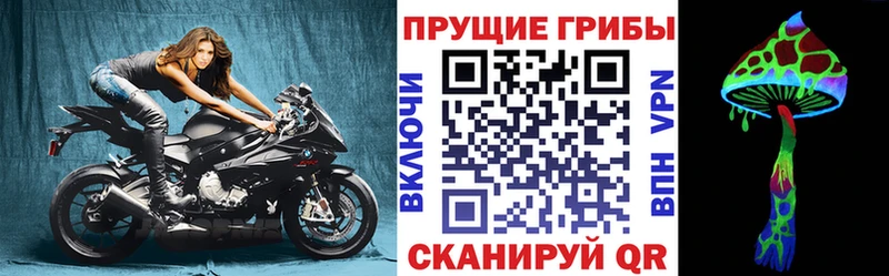 Псилоцибиновые грибы прущие грибы  где продают наркотики  Брюховецкая 